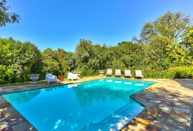 פנסיון Devonport House   Constantia