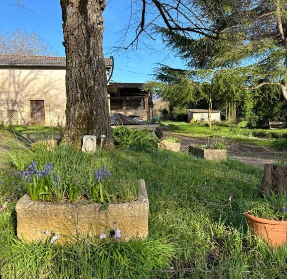 بنسيون Domaine De Labèque