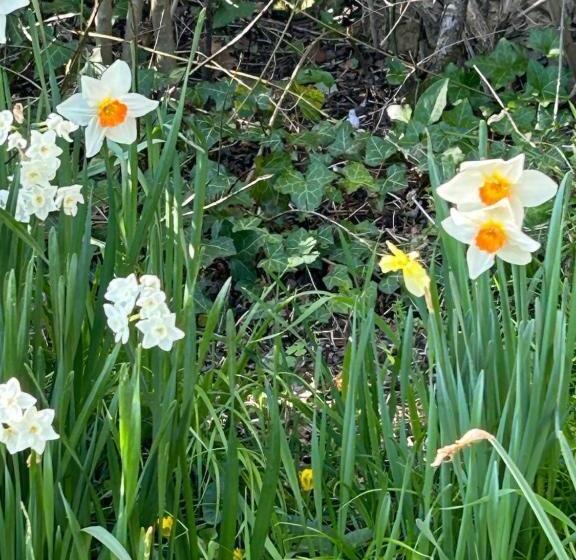 بنسيون Domaine De Labèque