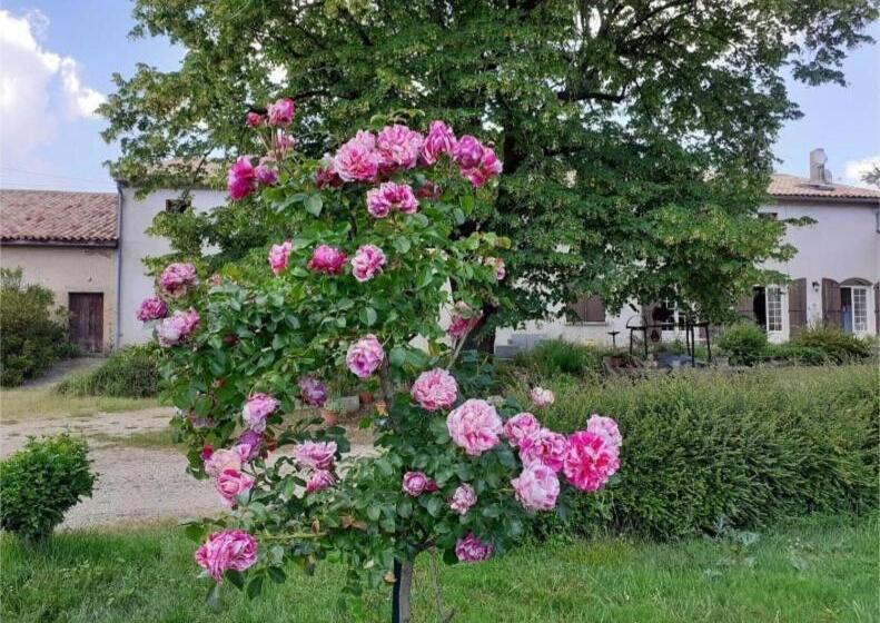 بنسيون Domaine De Labèque