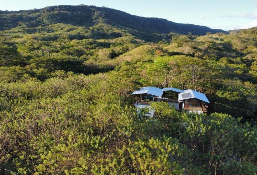 بنسيون Four Trees Jungle Lodge