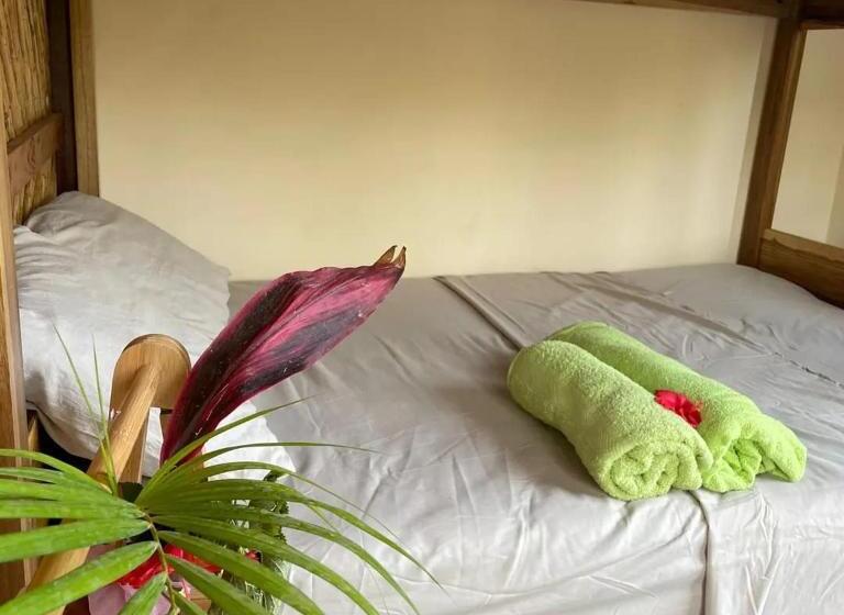 بنسيون Four Trees Jungle Lodge