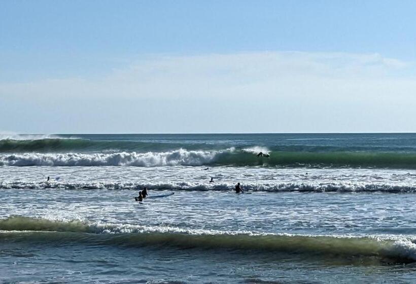 بنسيون Four Trees Jungle Lodge