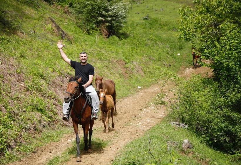 پانسیون Gentry House