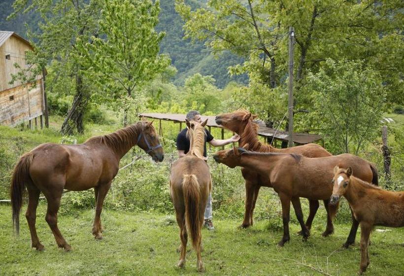 پانسیون Gentry House