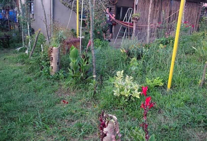 پانسیون Guesthouse David