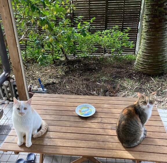 膳宿费 Kajikaen   Vacation Stay 57948v