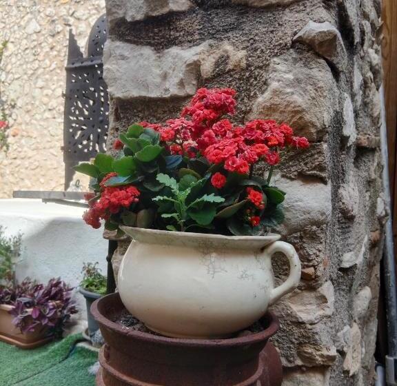 Пансион La Milotxa