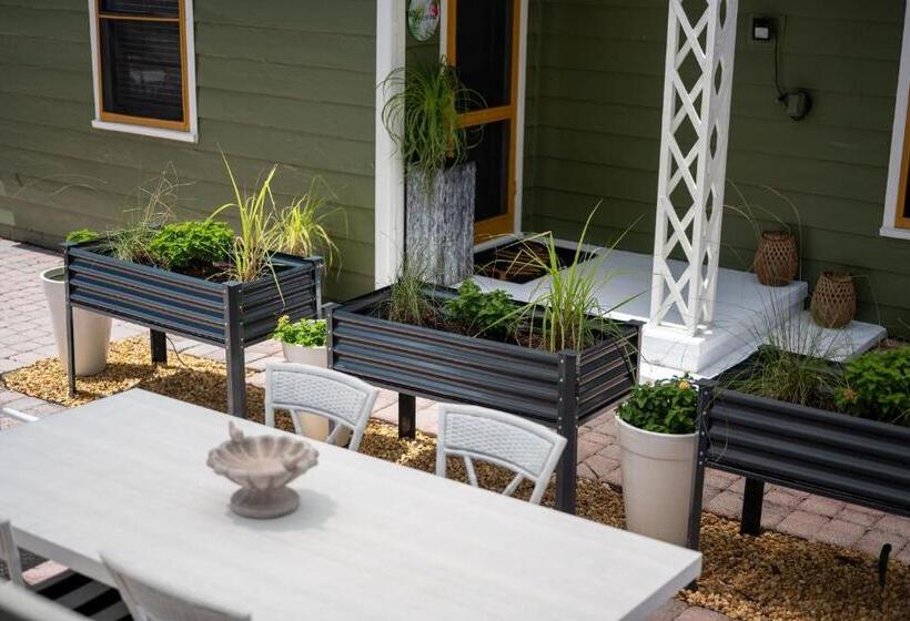 بنسيون Noi Nest Home + Pool + Suites