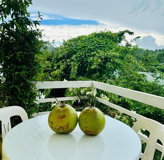 פנסיון Paragua House