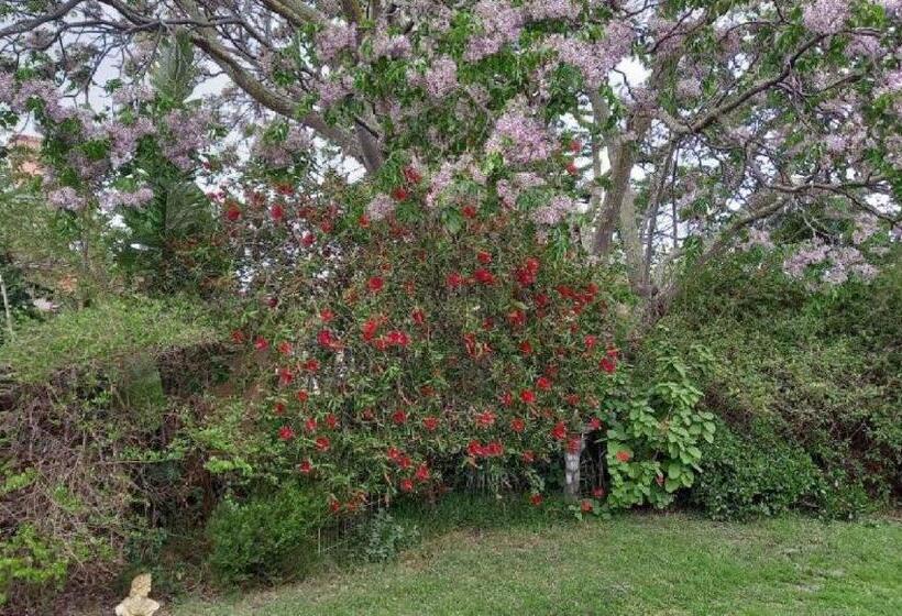 بنسيون Seti S Place