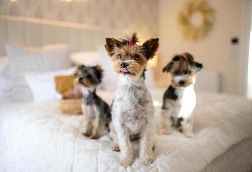 膳宿费 The Koko Rooms