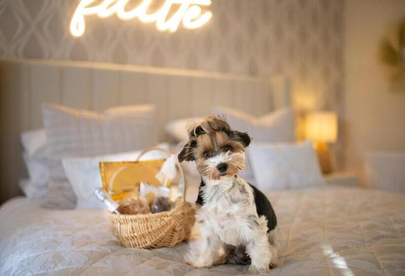 膳宿费 The Koko Rooms