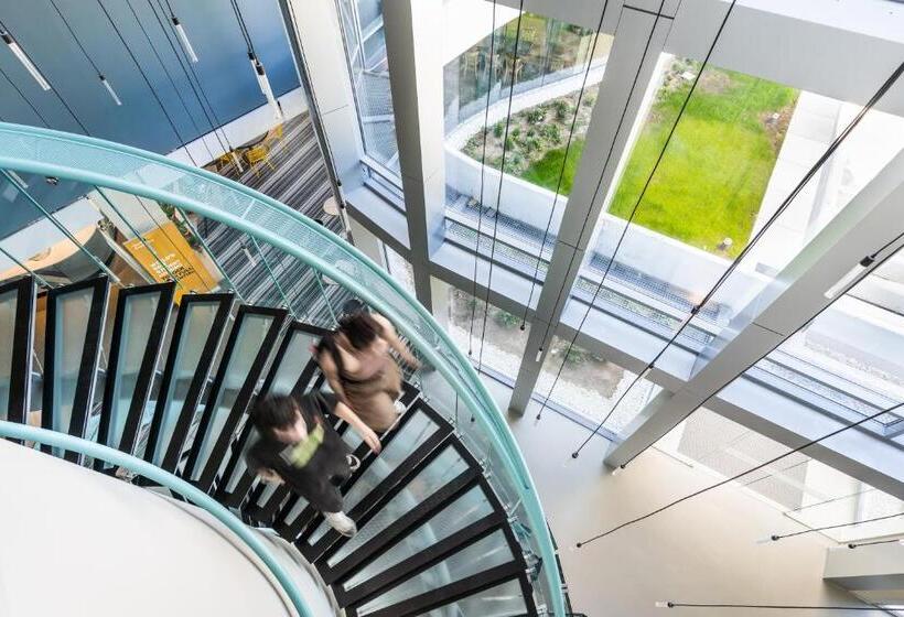 Student Experience Madrid Pozuelo   Luxury Hostel