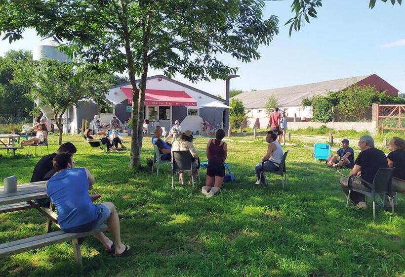 Albergue A Nave De Ferreira