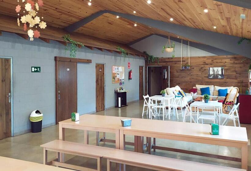 Albergue A Nave De Ferreira