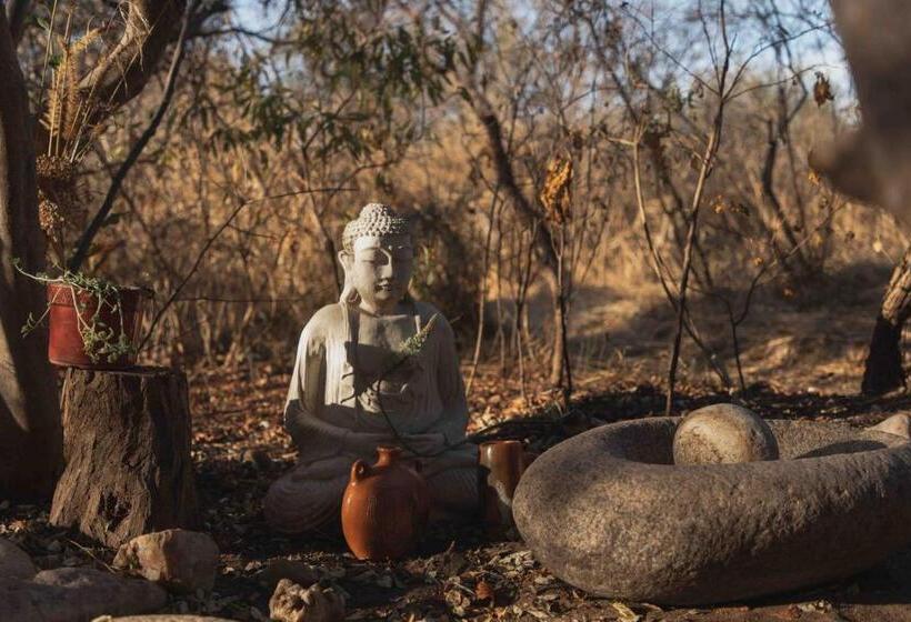 הוסטל Espacio Circular