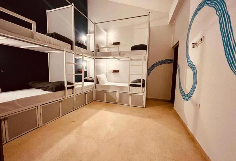 Albergue Madpackers Goa Anjuna   Bunks, Rooms, Community