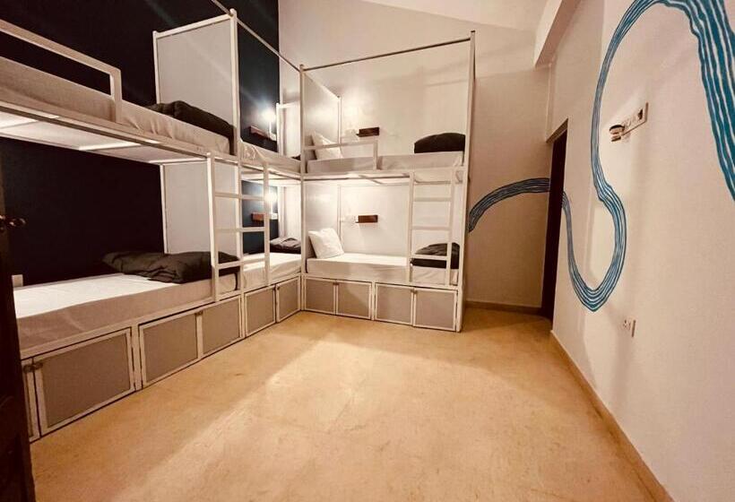 Albergue Madpackers Goa Anjuna   Bunks, Rooms, Community