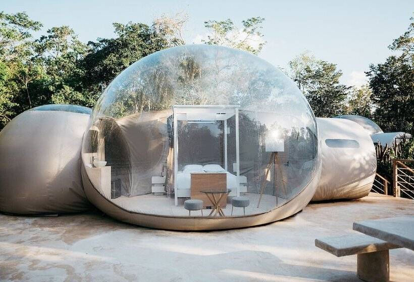 Alma Maya Resort   Riviera Maya