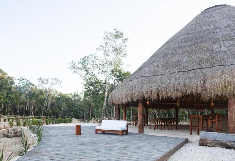 Alma Maya Resort   Riviera Maya