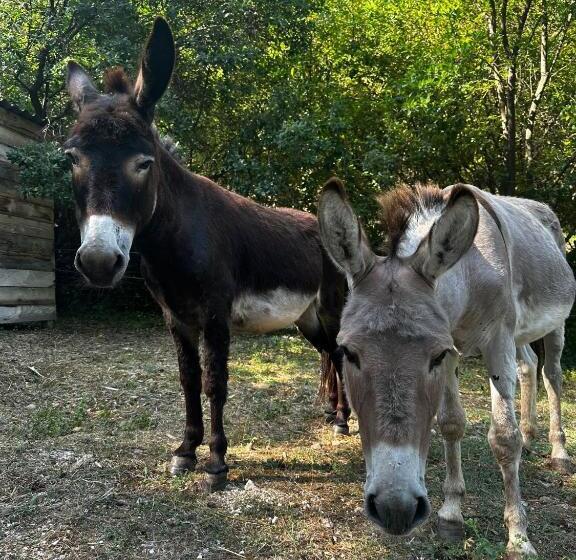 B&b Les Têtes De Mules   Adults Only