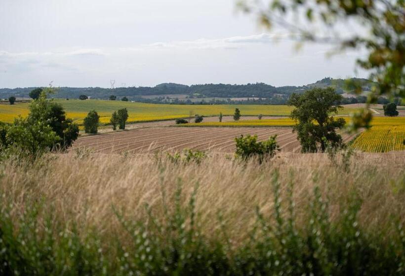 Bed and Breakfast Chez Phil