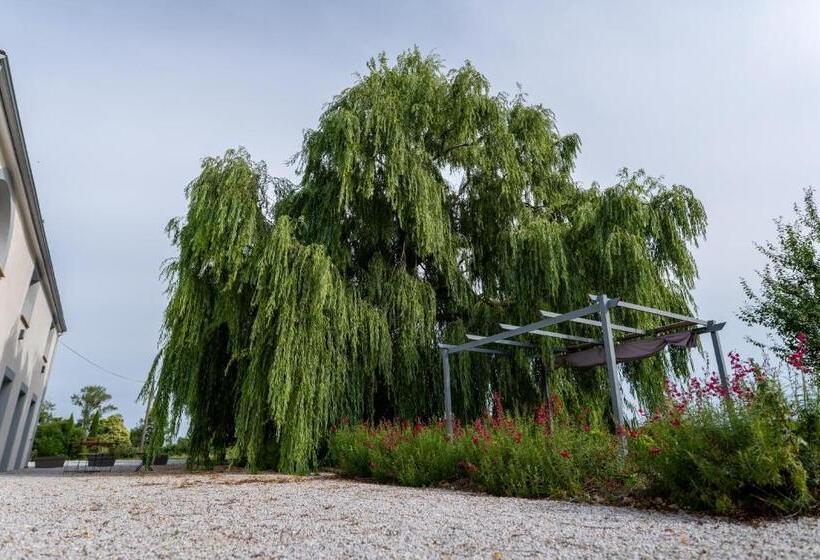 Bed and Breakfast Chez Phil