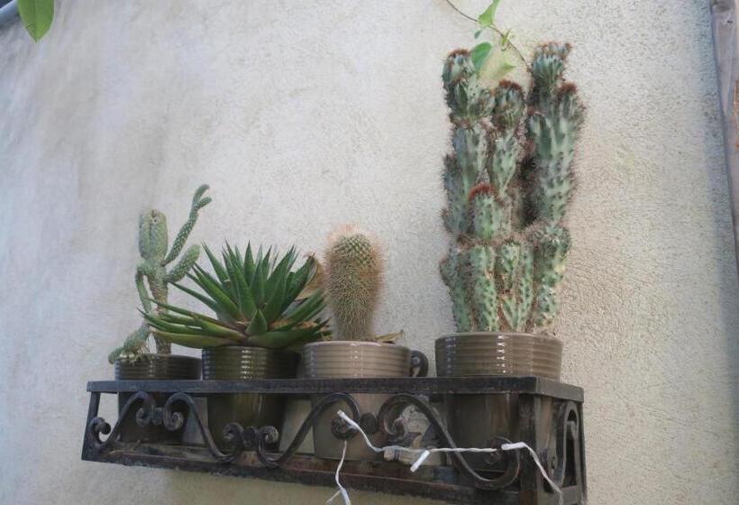 مبيت وإفطار Tombe La Nèfle