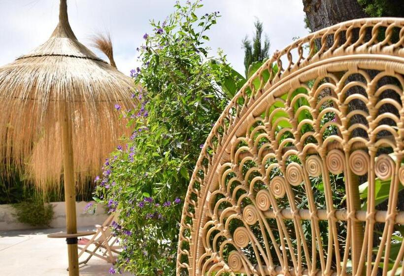 酒店 Boutique Casa Lapicida