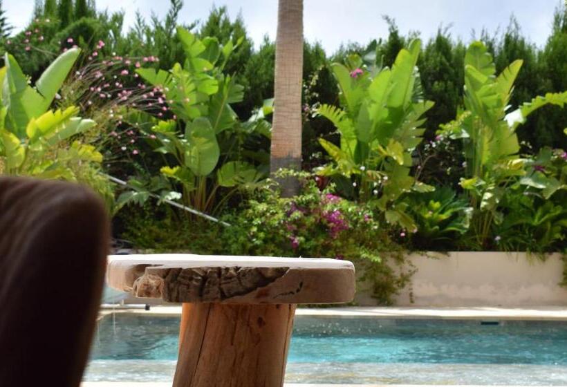 酒店 Boutique Casa Lapicida