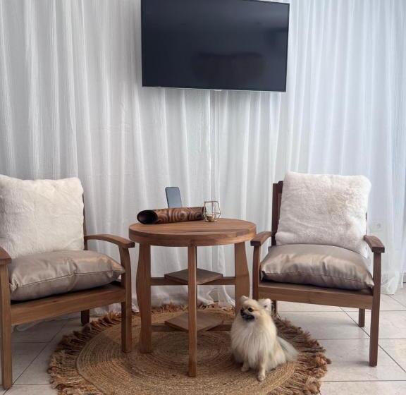 酒店 Boutique Casa Lapicida