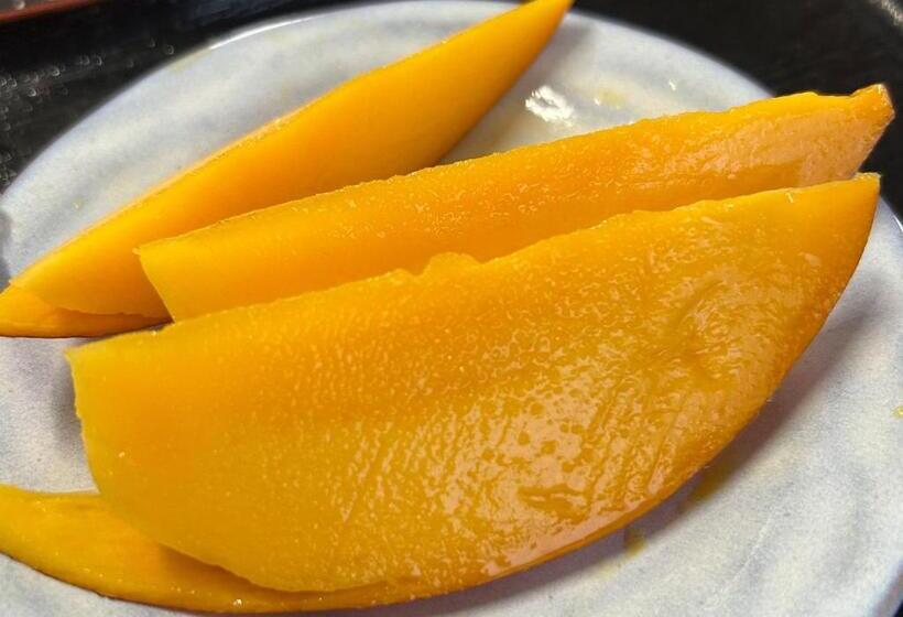 בית מלון כפרי Ayakawasou