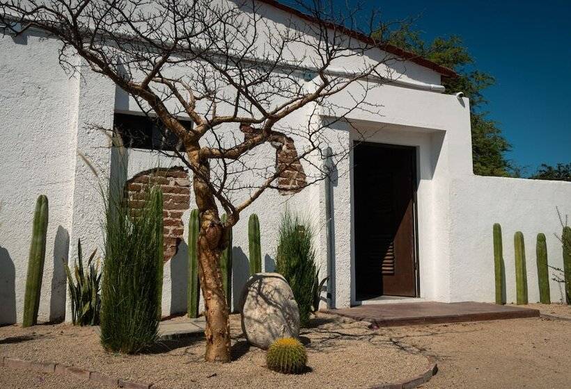 ホテル Casa Bahía