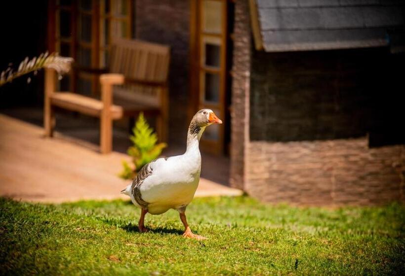 酒店 Chale Em Curitiba   Chales Portugal