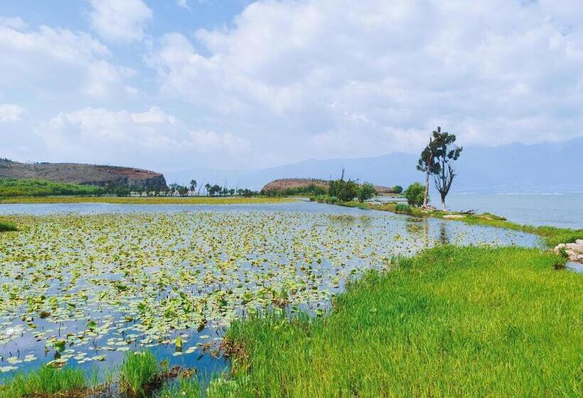 Отель Dali Fish Inn Sea View