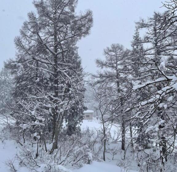 فندق Elan Lodge Akakura