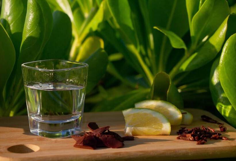 בית מלון כפרי Ito El Cuyo