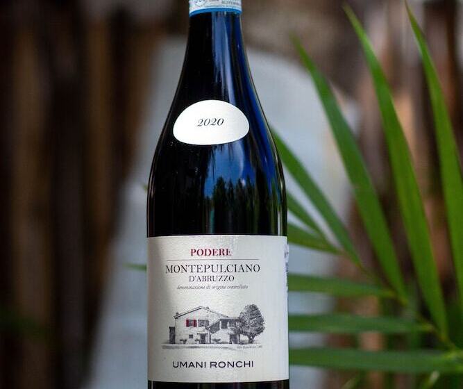 בית מלון כפרי Ito El Cuyo