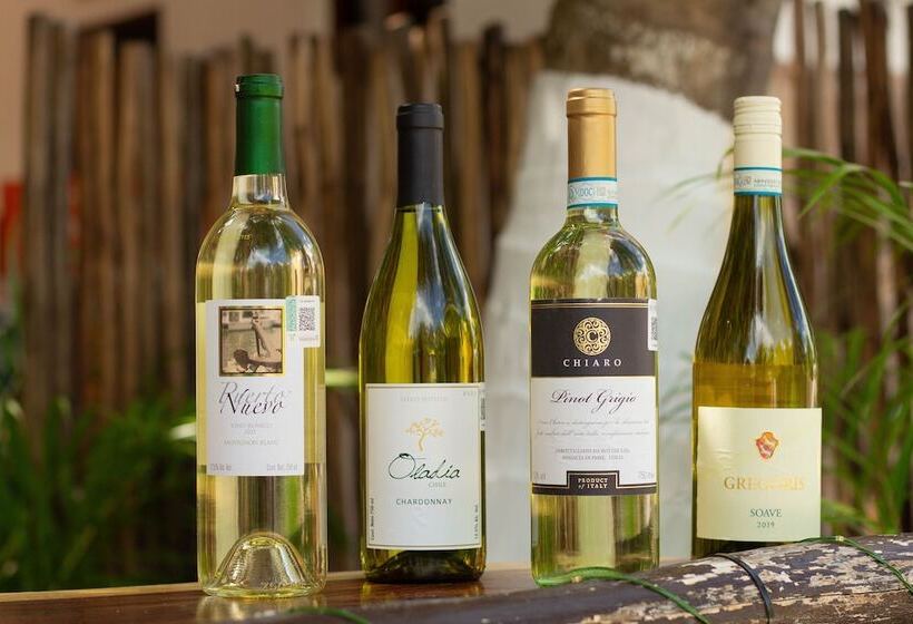 בית מלון כפרי Ito El Cuyo