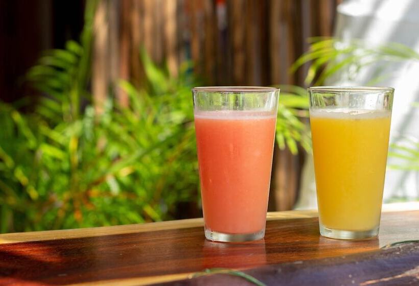 בית מלון כפרי Ito El Cuyo