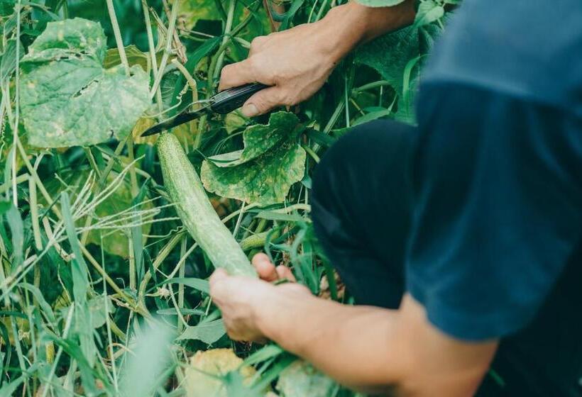 Отель Nipponia 田原本 マルト醤油
