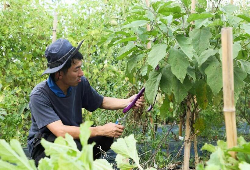 Отель Nipponia 田原本 マルト醤油