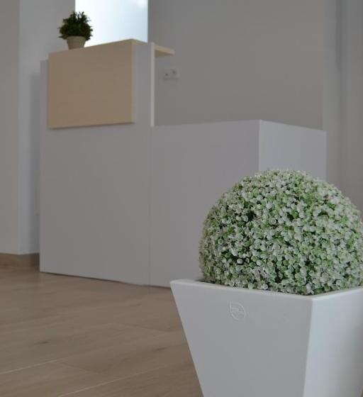 Отель Oasis Centro