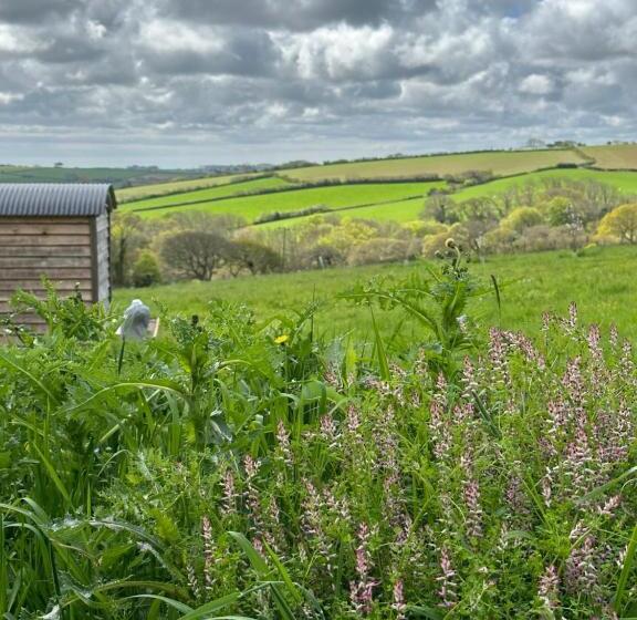 Отель Private And Peaceful Stay In A Luxury Shepherds Hut Near Truro