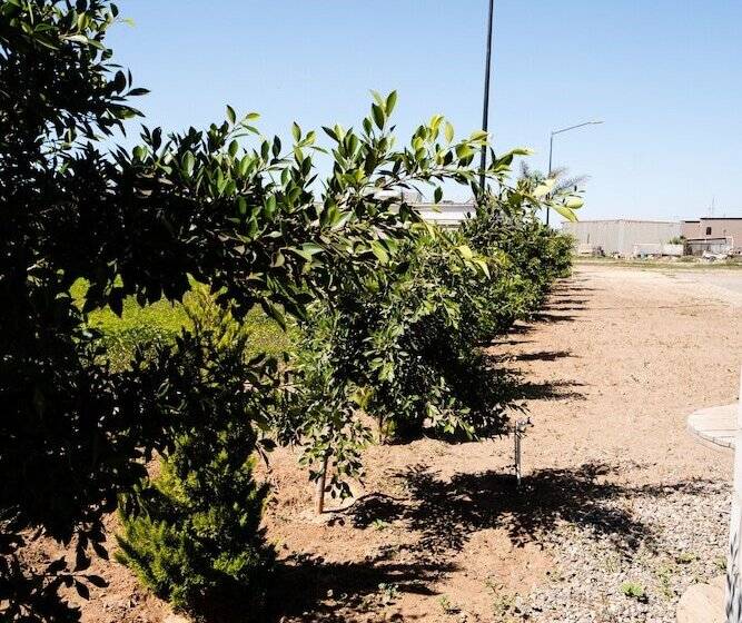 فندق & Rv Park Rosa Evelyn