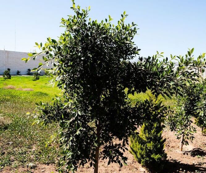 فندق & Rv Park Rosa Evelyn