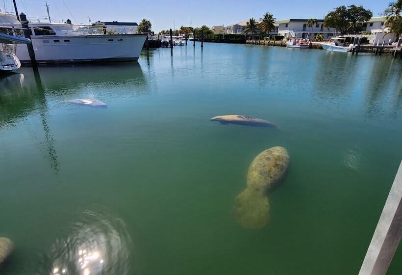 فندق Yacht Haven