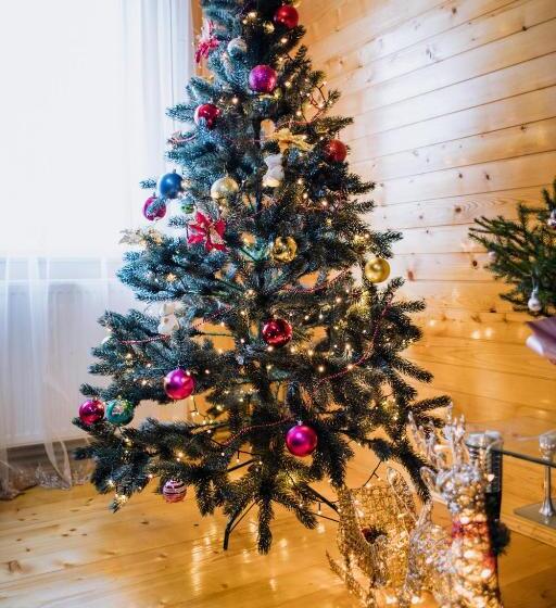 Pension (Hôtel basse catégorie) світанок у горах