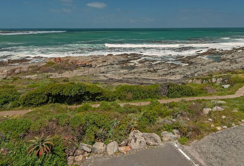 بنسيون Absolute Ocean Boutique Guesthouse